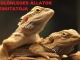 /index.php/program/3964-egzotikus-allatok-kiallitasa