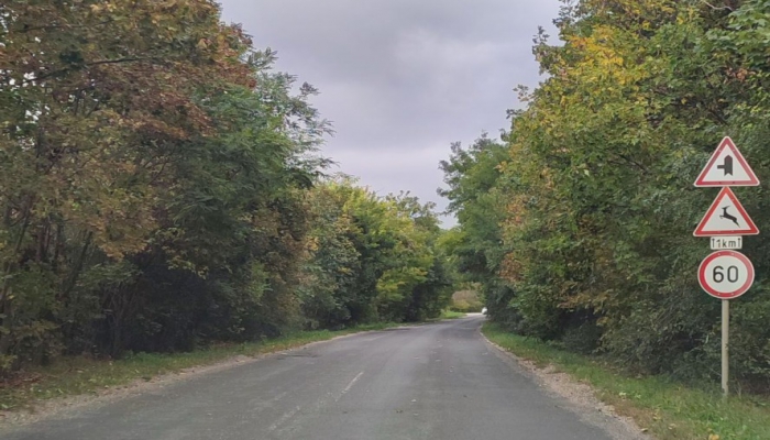 Megkezdődik a Páty-Telki út felújítása - frissítve!