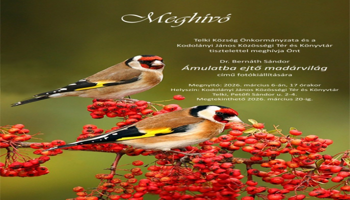 Ámulatba ejtő madárvilág - kiállítás