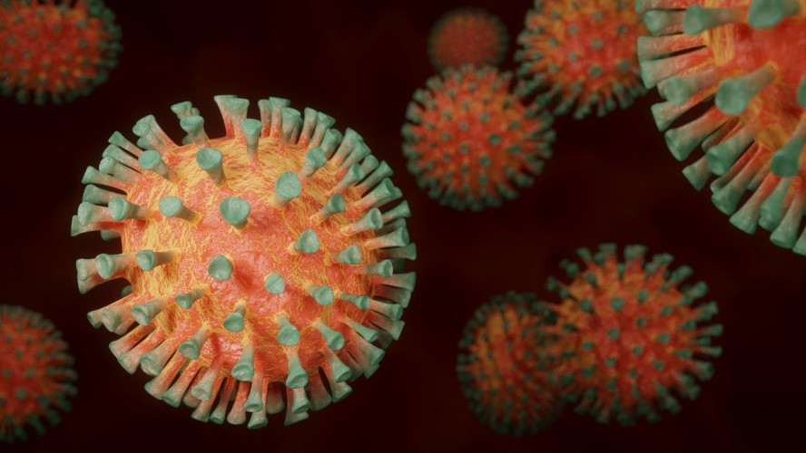 koronavirus