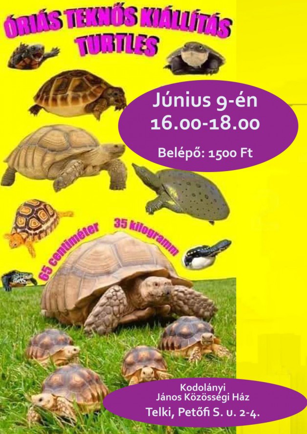 2022_teknos_kiallitas
