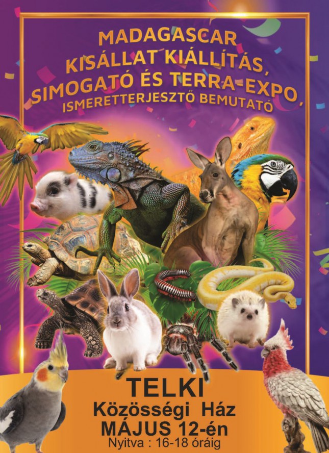 kisallat_bemutato