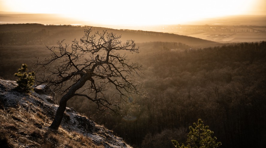 Fotopalyazat_Nemeth_Gabriella-Tarnai_piheno_2