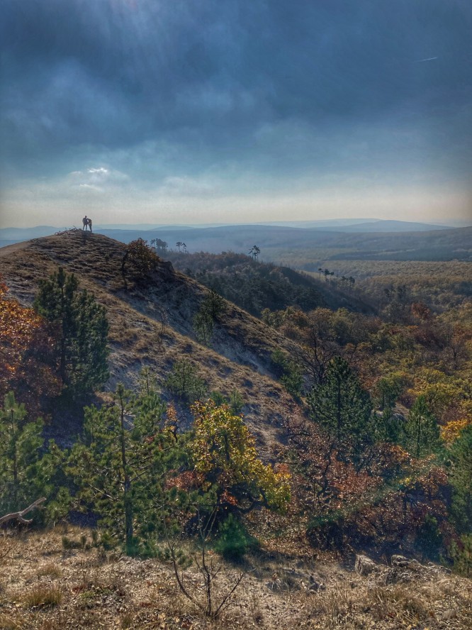 Fotopalyazat_Varga-Asztalos_Eszter-5