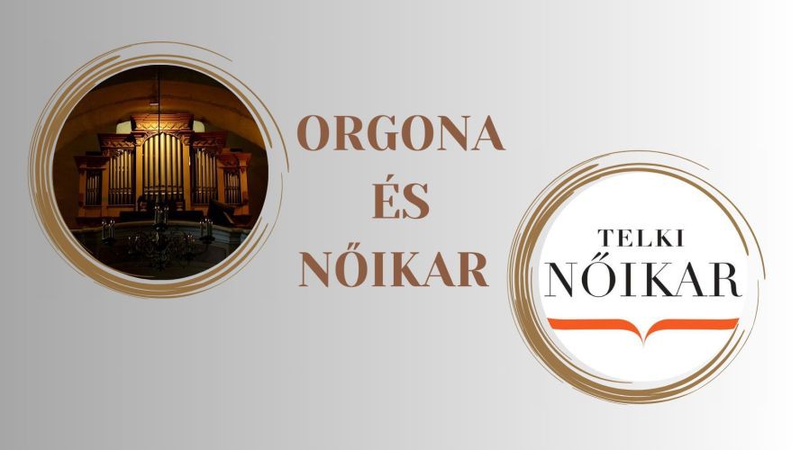 orgona_es_noikar