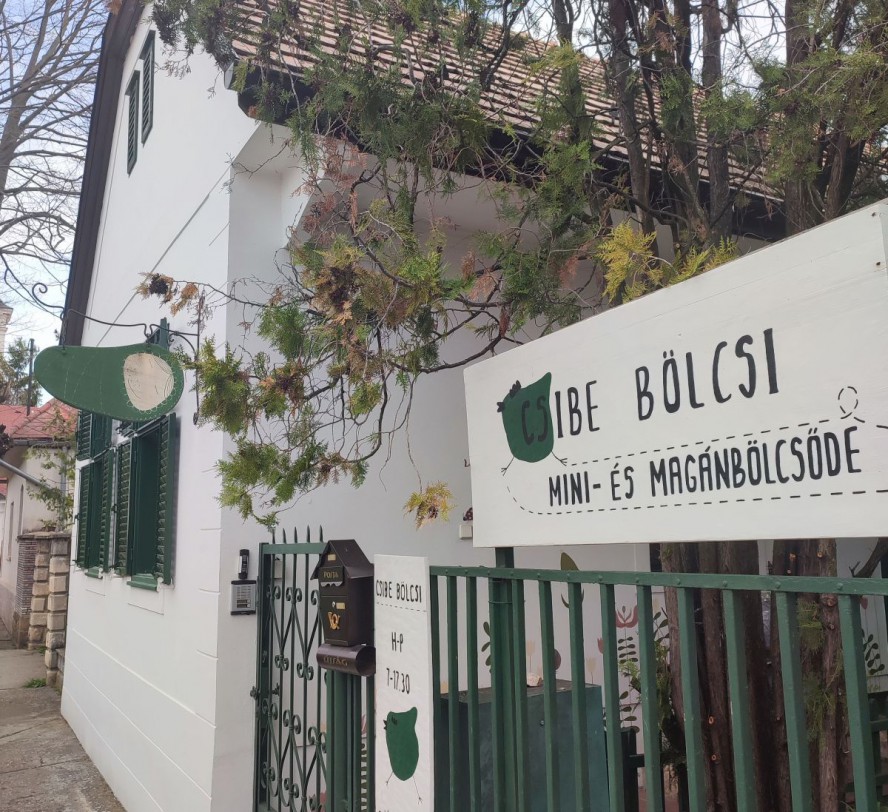 Csibe_Bolcsi