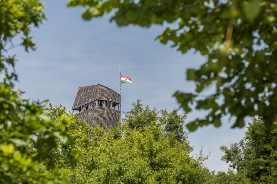 csergazan-kilato_parkerdo