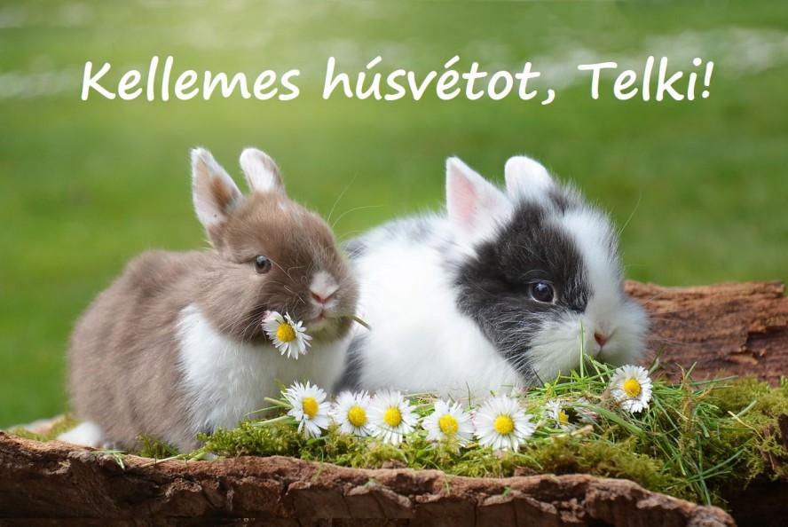 husvet_pixa