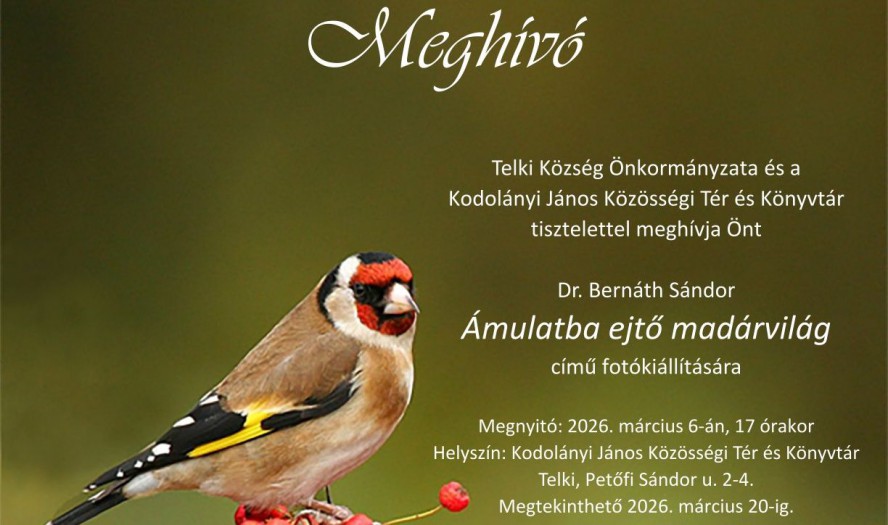 amulatba_ejto_madar_26marc_fejlec