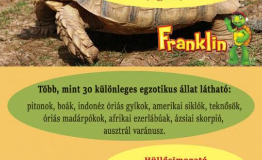 Tropical Zoo kiállítás Telkiben