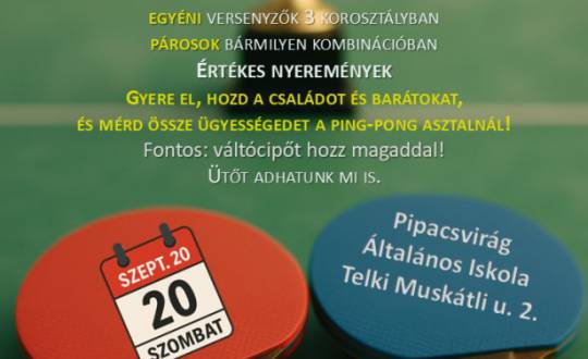 Családi pingpong nap és amatőr verseny
