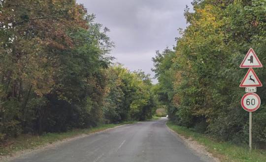 Megkezdődött a Páty-Telki út felújítása - frissítve!