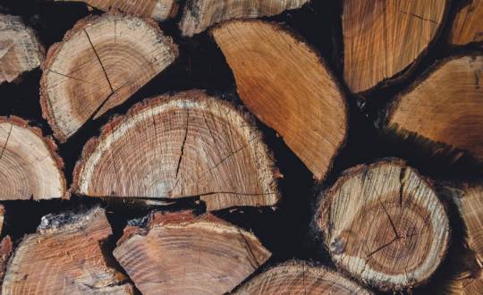 Ingyenes tüzelőanyag