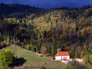Testvértelepülési hírek
